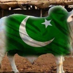 Starge Zama sre(MP3_128K).mp3