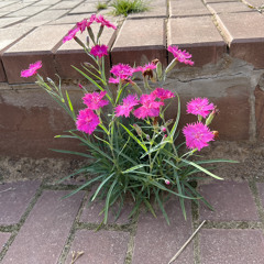 stillremebereveryfuckingsecondwithu