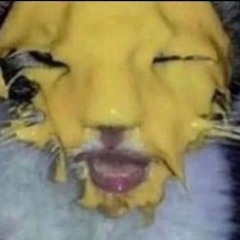 DaveyWaveyChonchavious