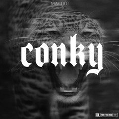 Conky Beatz