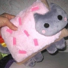 ellie bankmidi /ᐠ - ˕ -マ Ⳋ