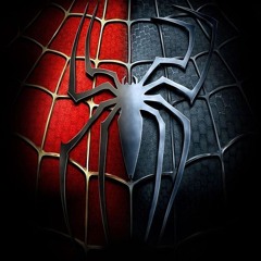 spider man 2.0