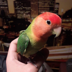 Mati