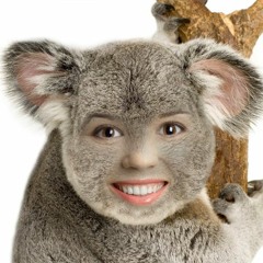 imalsoakoala