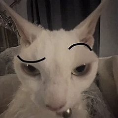 mkzzz☦️🖐🏿