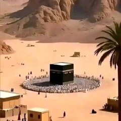محمد سلامه حسن