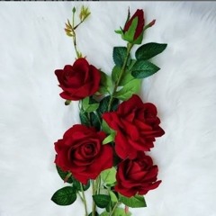 Hosam Khalifa