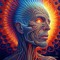 NOCTURNAL MEA