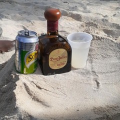 jarvia
