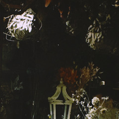 Nguyễn Hữu Hồng Diễm