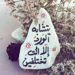 Ana Farwala