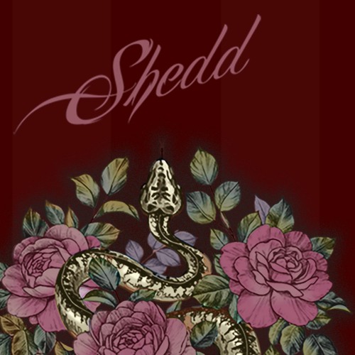 Shedd’s avatar