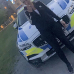 Stina Larsson Truelove