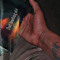 cryptic_zay