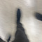J,E