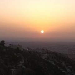 محمد عاصم سدر