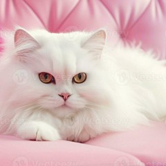 Abdullahi Illustrator