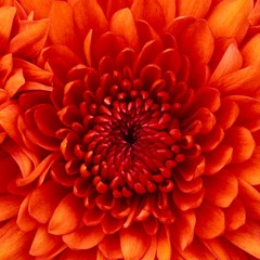 :]