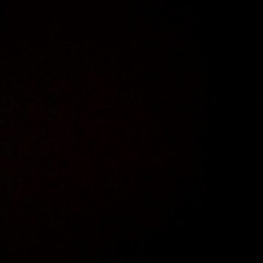 صقر