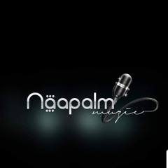 Mr.Naapalm
