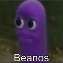 Coqito5