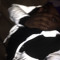 flexx