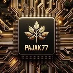 PAJĄK77  - Acid Spiderweb