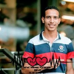 محمود سيد امين