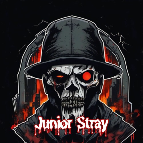 Junior Stray’s avatar