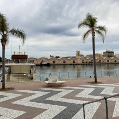 Puigjon51