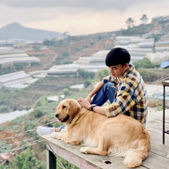 Hoàng Tiến