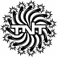 TNT GROUP