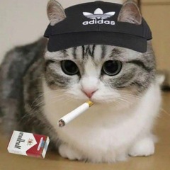 zxcRoduk