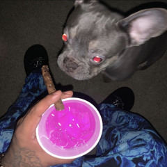 B_Narcøx4