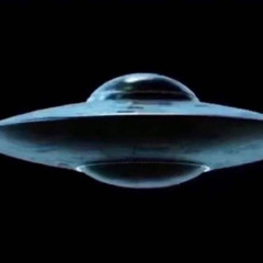 designerbeltsonmywaist