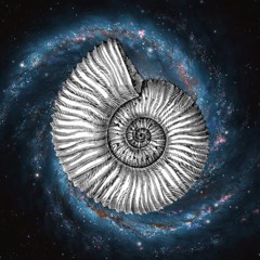 SHALIGRAM