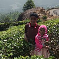 Manoj Sebastian