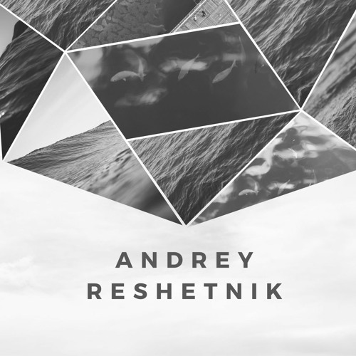 Andrey Reshetnik’s avatar