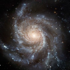 Orbit
