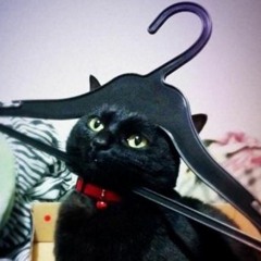 miau6502