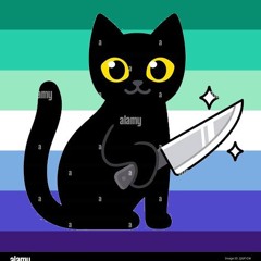 stimkitten