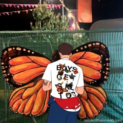 Butterfly