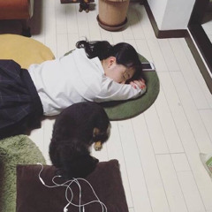 ふるかわののこ