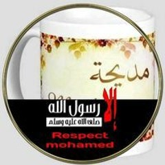 Madeha Elgebaley