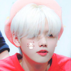 라리사