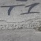 T1