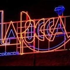 Kristof Van Den Brande