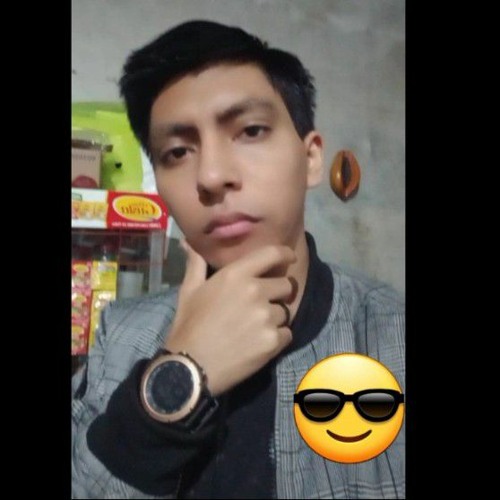 Juan Carlos Cabel Zuñe’s avatar