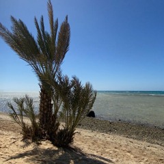 عزام