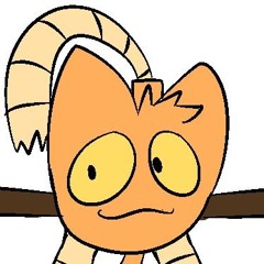 mistergokycat